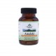 Amalaki BIO 60kapslí Organic India