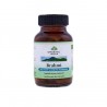 Brahmi BIO 60kapslí Organic India